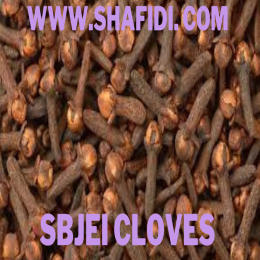 SBJEI CLOVES